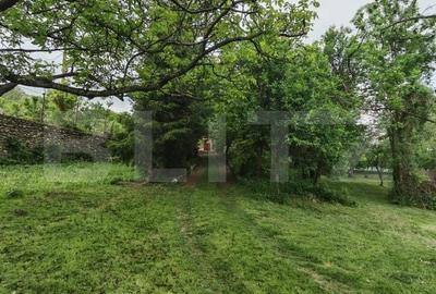Teren de 14000 mp, în Mihai Viteazu - 15