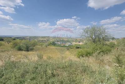 Teren de 6372 mp, în Paleu - 4