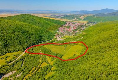 Teren 128.000 mp-Sacele-zona Garcini/ Intravilan - 3