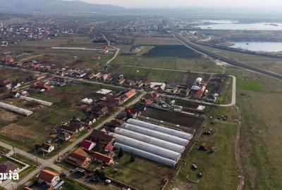 Casă cu 2 camere cu Teren 1570 Mp în Ghioroc - 10