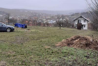 Spațiu comercial, de 3,600 mp, în Șura Mare - 3