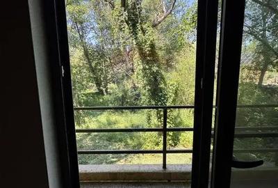 Casă cu 4 camere cu Teren 1300 Mp în Paltin - 6