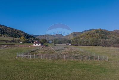 Teren Construcții intravilan de 2100 mp, în Plaiul Foii - 4