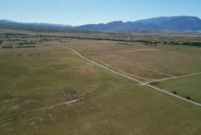 Teren extravilan Rasnov - 1