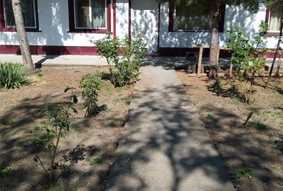 Casă cu 7 camere în Botoroaga - 9