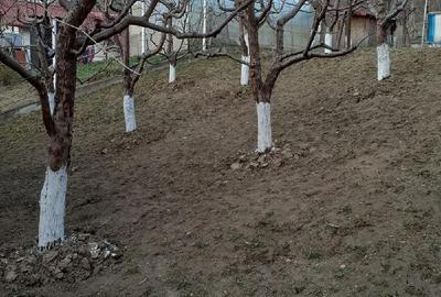 Casă cu Teren 5000 Mp în Bughea de Jos - 5
