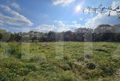 Teren de 1200 mp, în Sălicea