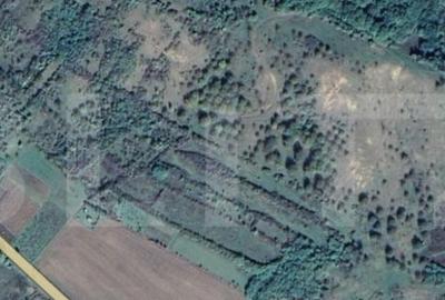 Teren de 20000 mp, în Central - 8