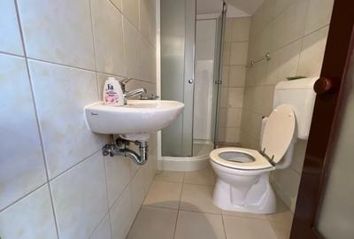 Casa moderna P+1E+M Lugoj 511mp - 10