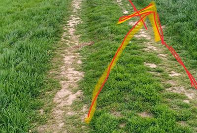 Teren intravilan lipia ilfov langa padure 3800 mp - 5