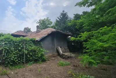 Casa, Dor Marunt, Calarasi - 3