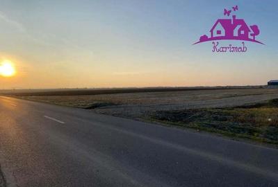 Parcele de teren industrial pentru diferite activitati economice - 5