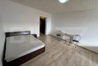 Garsonieră în Brazda lui Novac - 1