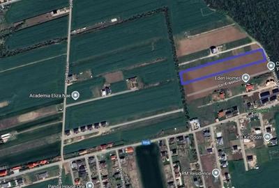 Teren de 8401 mp, în Balotești - 2