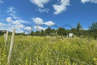 Teren de 1675 mp, în Podgoria - 2