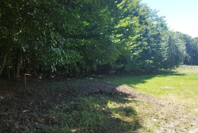 Teren de 1600 mp, în Groși