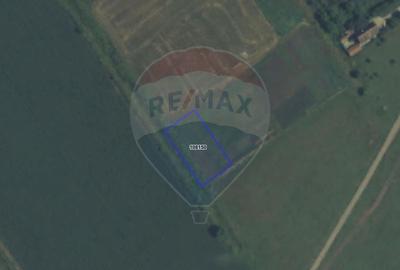 Comision 0% | Teren intravilan | Zona Bartolomeu-Lanii | 921 mp - 2