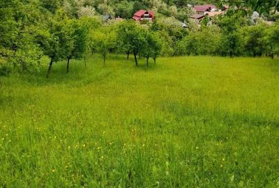 Casă cu 2 camere în Onești - 3