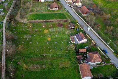 Casa de vanzare Certejul de sus,jud. Hunedoara - 24