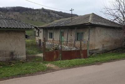 Casă cu Teren 1884 Mp în Baia - 3