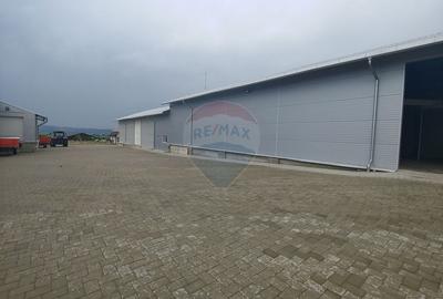 Spațiu industrial, de 292 mp, în Dumbrăveni - 3