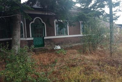 Teren intravilan(tot)curs constructii,Radovanu,CL - 1