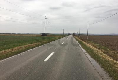 Reco Teren Intravilan in Chiribis - 2