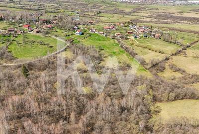 Vanzare teren intravilan 37723 mp Zarnesti Tohanita - 6
