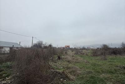 Spațiu comercial, în Dângești
