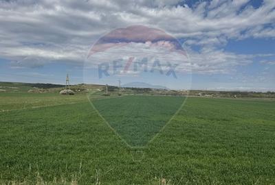 Teren Construcții extravilan de 8600 mp, în Luna de Jos - 12