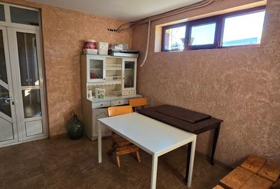 VILA LUX DE VANZARE -PANCIU-STRAOANE - 49
