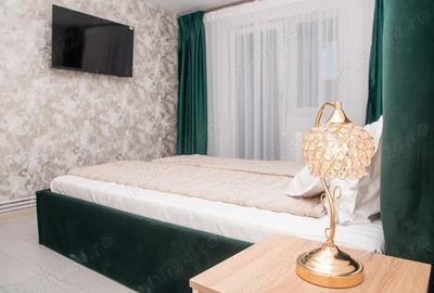 Inchiriez apartament , 2 camere , semidecomandat , etaj 4 , Splaiul 1 decembrie , cu vedere superba - 5