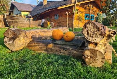 Hotel/Pensiune, de 231 mp, în Dobreni - 9