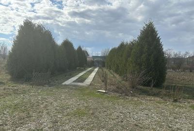 Casa 3 dormitoare, 128mp, 4750mp teren, piscina, cuptor de paine , Casolt - 18