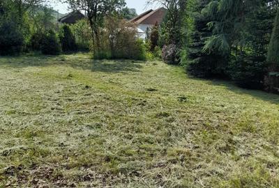 Casă cu 3 camere în Valcău de Jos - 9
