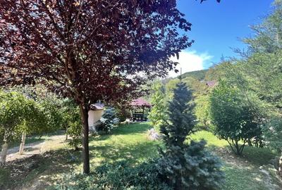 Conacul Mura in Baile Olanesti, O Bijuterie Naturala - 4
