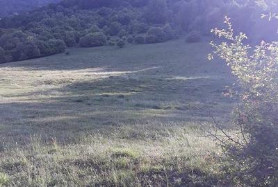 Teren de 10000 mp, în Cheia - 3