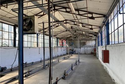 Hala/depozit/spatiu industrial Giurgiului - Ferentari - 4