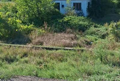Casă în Ciochiuța - 4