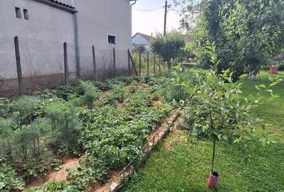 Casă cu 2 camere cu Teren 800 Mp în Sântimreu - 3