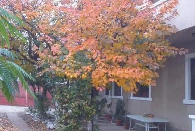 Casă cu Teren 600 Mp în Central - 2