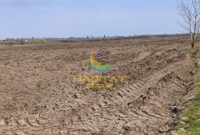 Teren agricol extravilan de 10000 mp, în Frumușani - 3