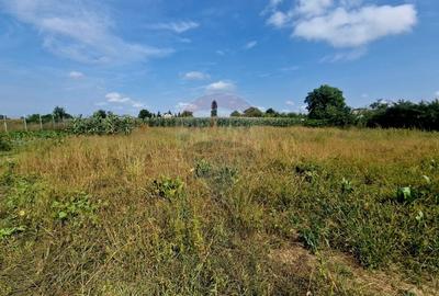Oaza de liniste: casa cu livada si teren generos - Girov - 44