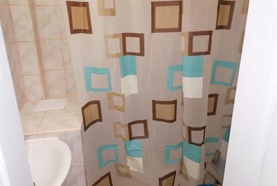 Apartament cu 1 camera recent renovat etaj 1 zona Buziasului - 11