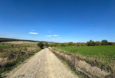 Teren de 4300 mp, în Adâncata - 5