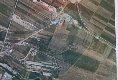 Teren de 9574 mp, în Iacobeni - 8