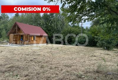 Teren intravilan 8000 mp cu anexa gospodareasca in Vistisoara - 1