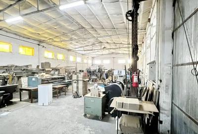 Teren de 6000 mp, în Stupini - 4