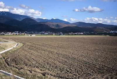Teren de 34000 mp, în Cristian - 4