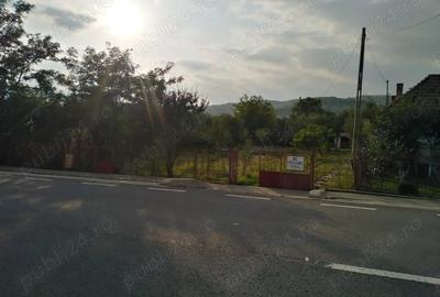 Casă cu 4 camere în Abuș - 7